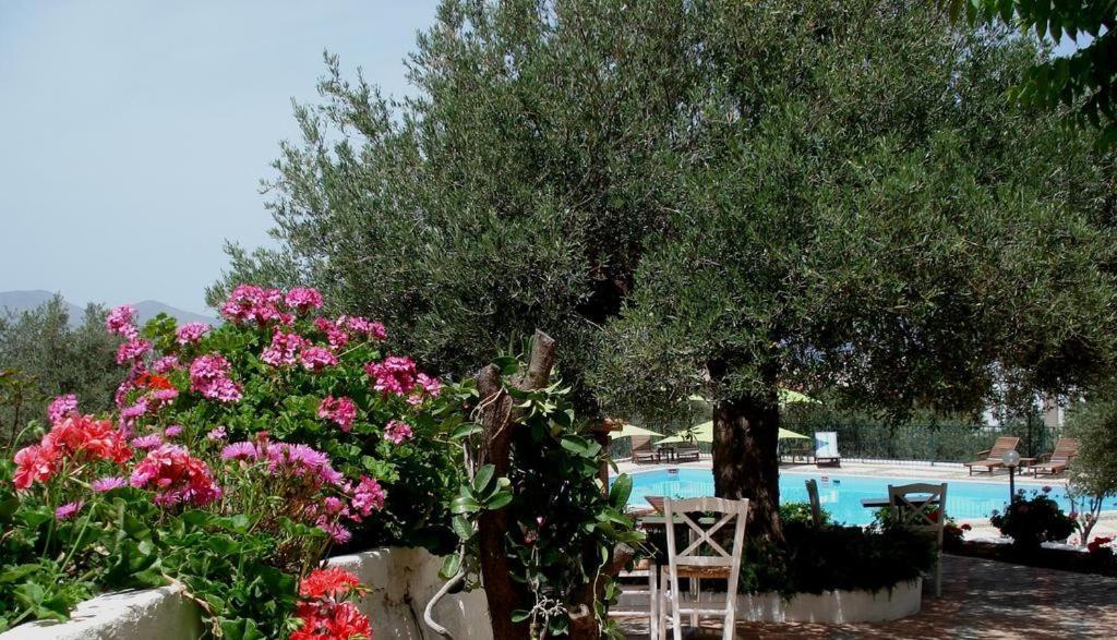 Katerina Charming Place Amoudara  ภายนอก รูปภาพ