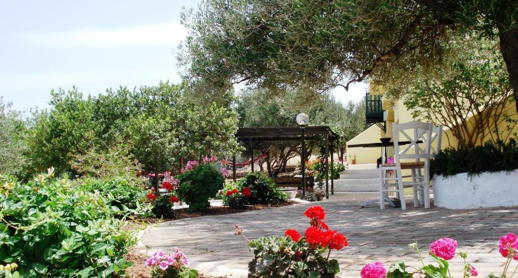 Katerina Charming Place Amoudara  ภายนอก รูปภาพ
