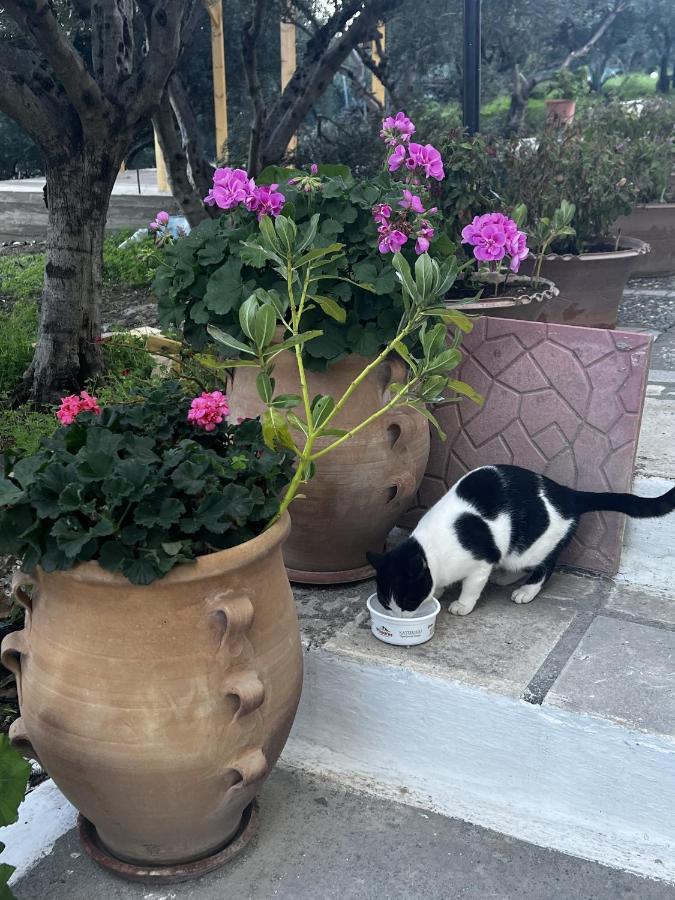 Katerina Charming Place Amoudara  ภายนอก รูปภาพ